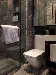 The Orchard Residences (D9), Apartment #580699891